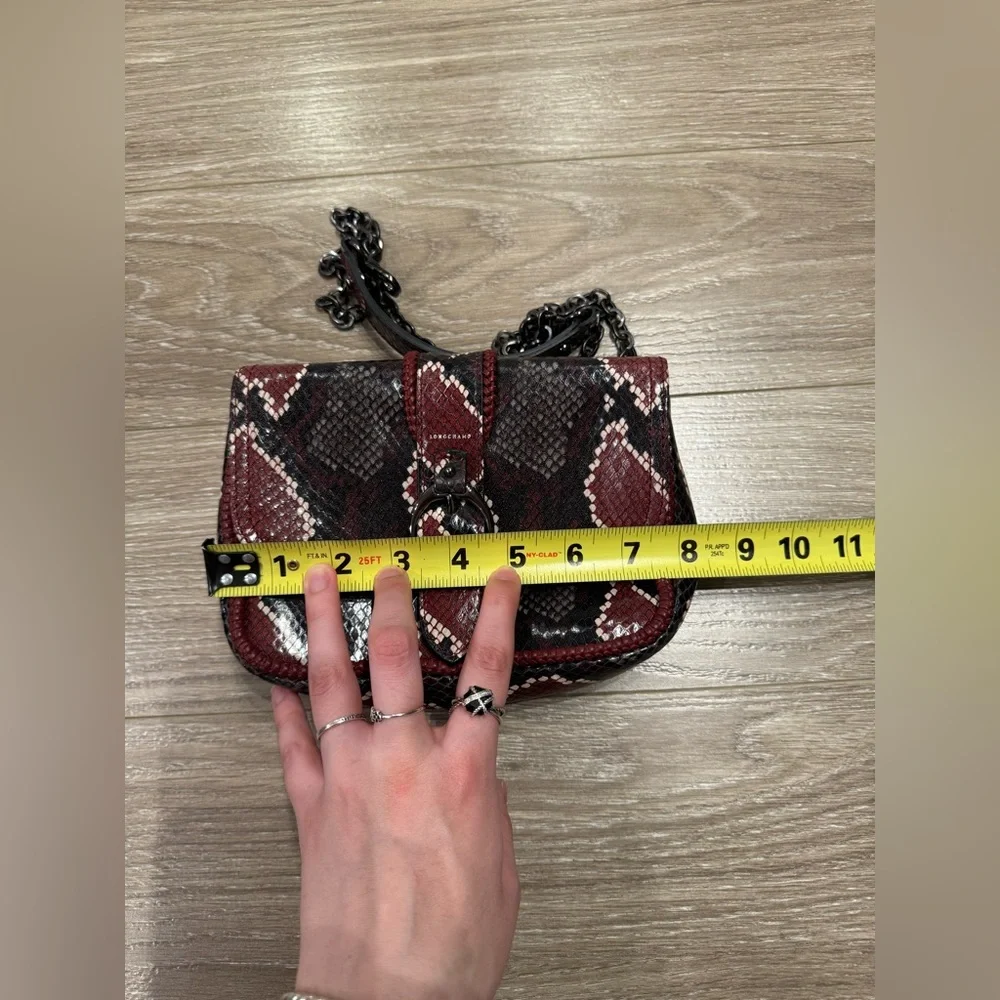 Longchamp Bag - Picture 10 of 10